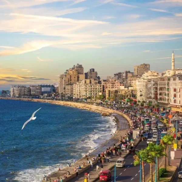 Alexandria-tours